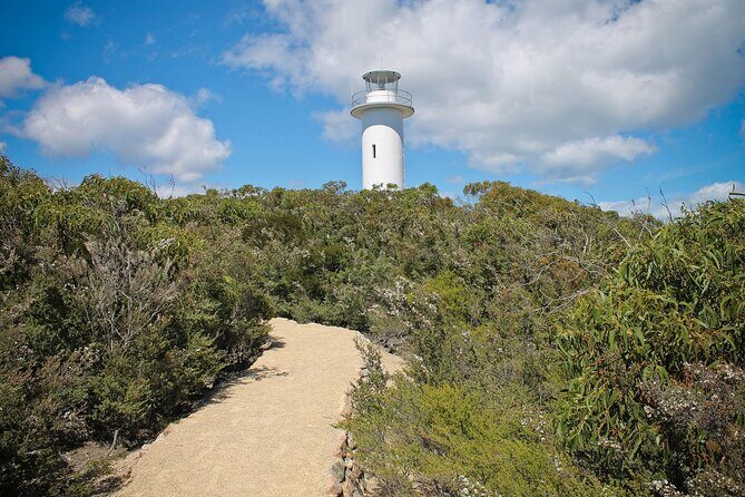 2 day Cradle Mountain and Wineglass Bay - Honeymoon Bay swim and Cape Tourville: the “photo, then cool off” section
