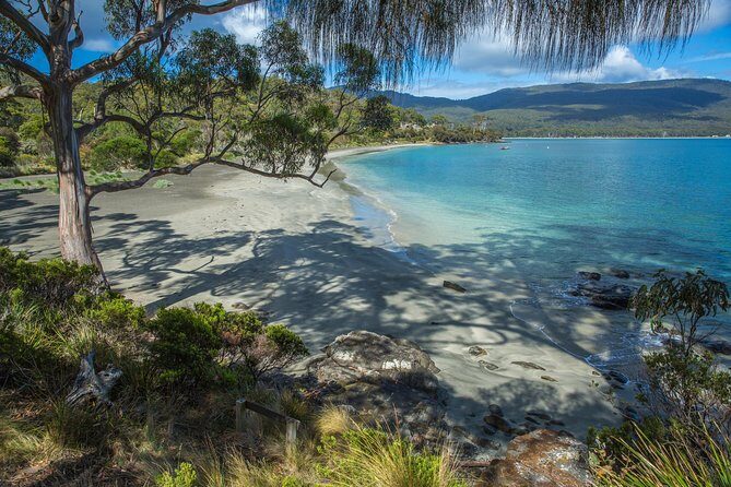 2 Day Tasmanian Highlights Tour - Bruny Island & Port Arthur - Tasman Peninsula day: quick lookouts plus sugar and lavender stops