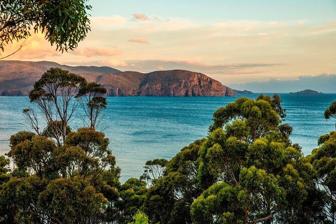 2 Day Tasmanian Highlights Tour - Bruny Island & Port Arthur - Port Arthur Historic Site: admission plus a harbour cruise you can plan around