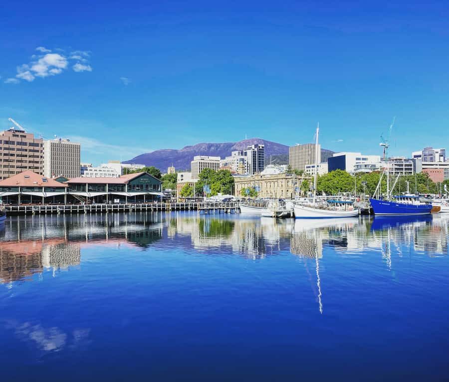 2 Days of Tasmania's Best - Salamanca Market on Saturday: Art, Produce, and Real Local Flavor