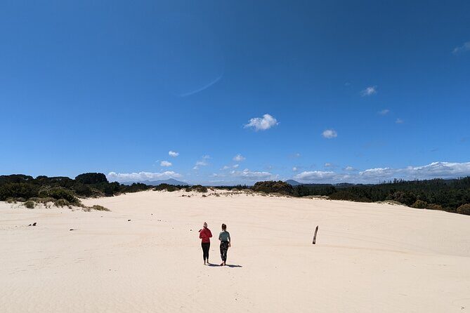 7-Day Super Value Tour of Tasmania: Explore Tasmania's West and East Coasts - Day 2: Strahan and the Coast—Gordon River Country or Dunes Instead