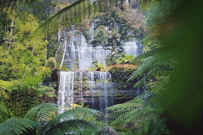 7-Day Super Value Tour of Tasmania: Explore Tasmania's West and East Coasts - Day by Day: What You’ll Do and Why It Feels Worth It