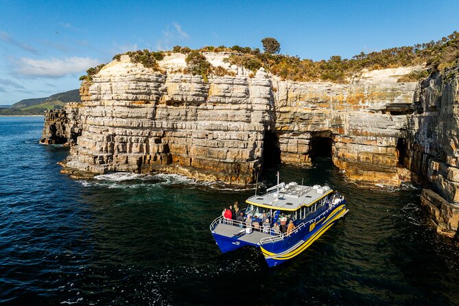 90 minute Cape Raoul Cruise and Port Arthur Historic Site entry - Meeting at Port Arthur Jetty: The Practical Start