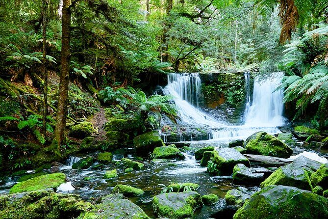 Bonorong Wildlife Park and Richmond Afternoon Tour from Hobart - Should you book Bonorong plus Richmond from Hobart?