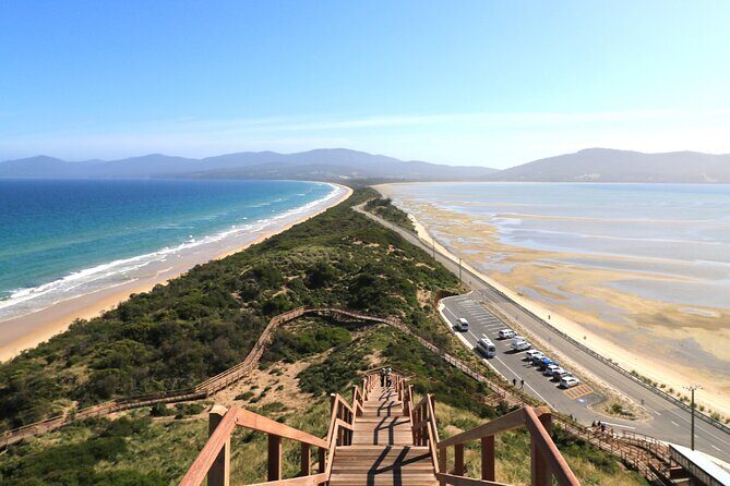 Cape Raoul Cruises Day Tour from Hobart - Columnar dolerite cliffs, caves, arches, and white sand coves