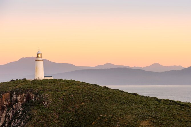 Cruise Ship - Port Arthur Shore Excursion - Hobart - Getting value from $169: what you’re really paying for