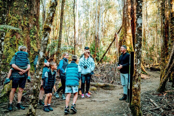 Day Tour in Mt. Field, Mt. Wellington, Bonorong Wildlife Sanctuary and Richmond - Russell Falls at Mt Field: rainforest calm with real wow-factor