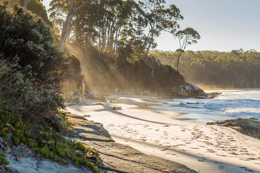 From Hobart: Full-Day Bruny Island Tour with Guide - Key Highlights That Make This Tour Worth Your Time