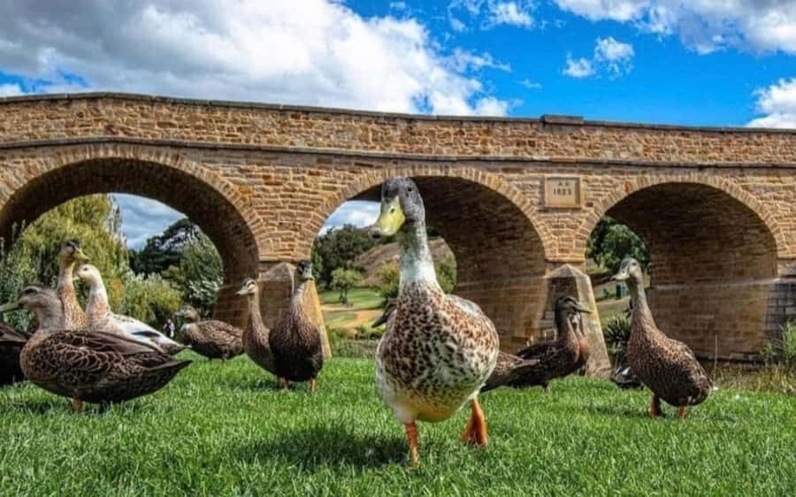 Historic Richmond Village Half-Day Coach Tour - Food and drink options: wines and a scallop pie (at your pace)