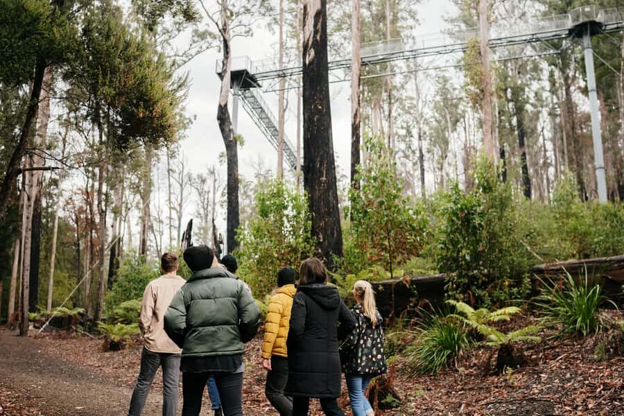 Hobart: Hastings Cave, Tahune Airwalk and Huon Tasting Trail - A fast-moving Hobart to Deep South day trip