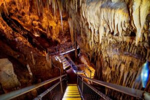 Hobart: Hastings Cave, Tahune Airwalk and Huon Tasting Trail - Getting started: Huonville coffee and the Huon Valley setup