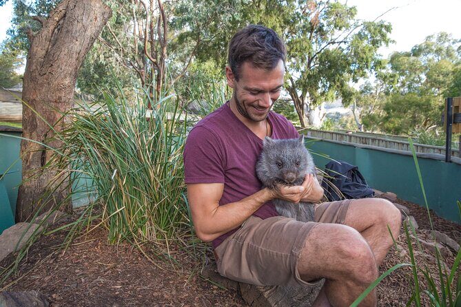 Hobart Highlights Day Tour - Key highlights to know before you go