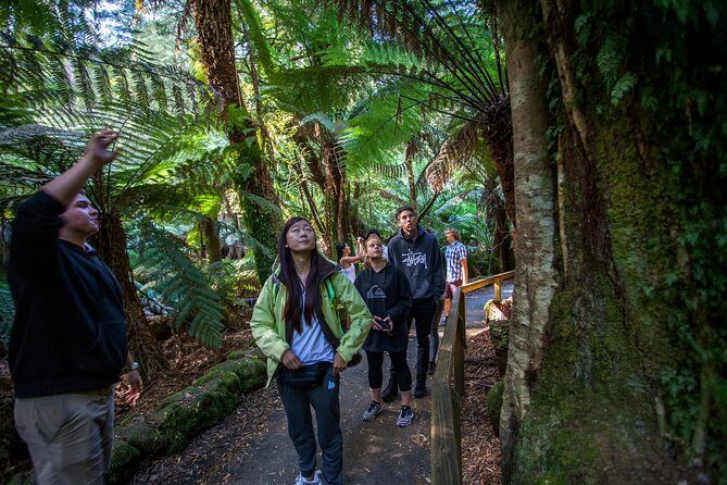 Hobart: Mt. Field, Mt Wellington & Wildlife - Active Day Tour - When the day goes right: what your “perfect day” looks like
