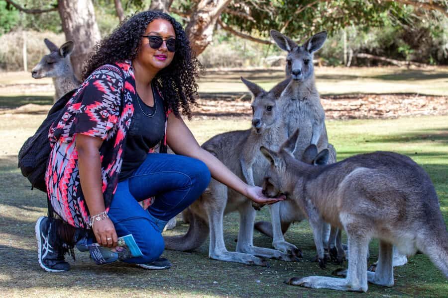 Hobart: Port Arthur, Richmond & Tassie Devil - Active Tour - How much walking is this, and who should choose it?