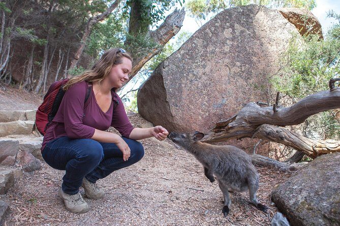 Hobart to Launceston via Wineglass Bay - Active Tour - Why this one-way Hobart to Launceston route feels worth it