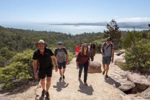 Hobart to Launceston via Wineglass Bay - Active Tour - Getting there: pickup timing, small-group size, and what to pack