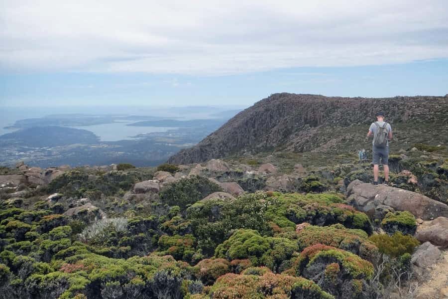 Kunanyi & Mt Wellington Explorer Bus: One-Way Bus Pass - The short ride up: 50 minutes from Hobart’s waterfront to 1270 m