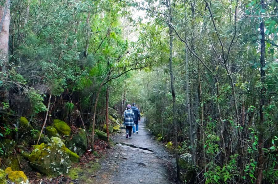 Kunanyi & Mt Wellington Explorer Bus: One-Way Bus Pass - Commentary and on-the-ground guidance: why the bus isn’t just transport