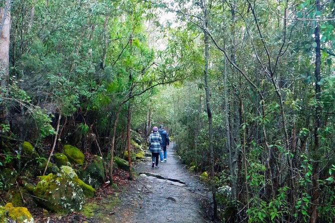 kunanyi/Mt Wellington Explorer Bus- Return Tour (2.5 hours) - The Driver and Commentary: Why This Feels Like More Than a Ride