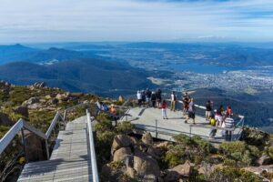 kunanyi/Mt Wellington Ultimate Experience Afternoon Tour - Summit views over Hobart and the Derwent River: what the mountain delivers