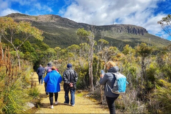 kunanyi/Mt Wellington Ultimate Experience Tour from Hobart - The guides and the driving matter more than you expect