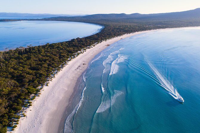 Maria Island Cruise and Guided Walk Day Tour with Lunch and Drinks - The 4-Hour Scenic Cruise: Wildlife Viewing With Scientist-Led Commentary