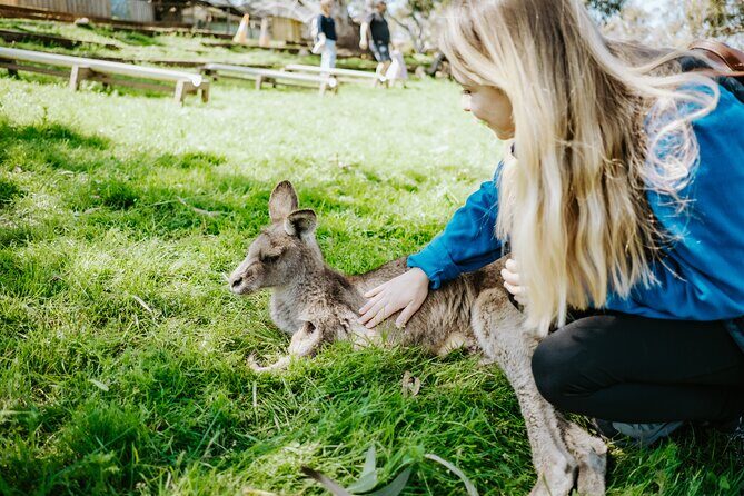 Shore Excursion-Hobart Wanderer - What to Bring and How to Plan Your Stop Times