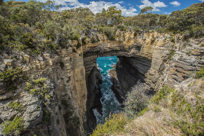 Shore Excursion - Port Arthur - Tasman Peninsula - The 3-hour Tasman Peninsula loop that actually works on cruise days