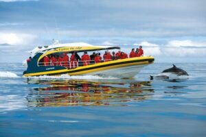 Tasman Island Cruises and Port Arthur Historic Site Day Tour from Hobart - The Tasman National Park eco-cruise: open-air views and sea caves on a fast boat