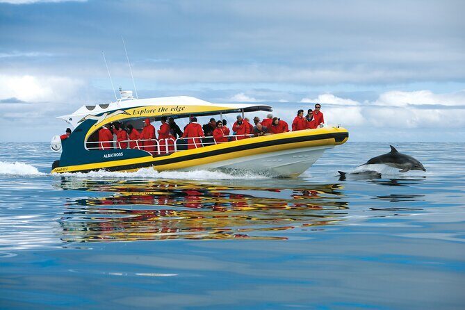 Tasman Island Cruises and Port Arthur Historic Site Day Tour from Hobart - The Tasman National Park eco-cruise: open-air views and sea caves on a fast boat