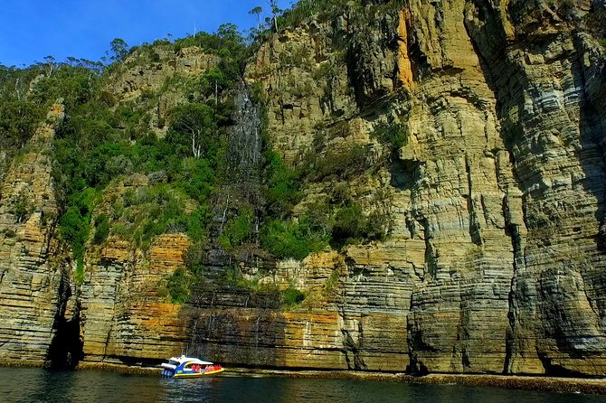Tasman Peninsula Wilderness Cruise from Port Arthur - Key highlights to know before you go