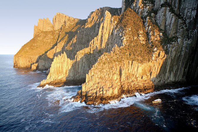 Tasman Peninsula Wilderness Cruise from Port Arthur - Wildlife spotting: what to watch for (and how to enjoy it)