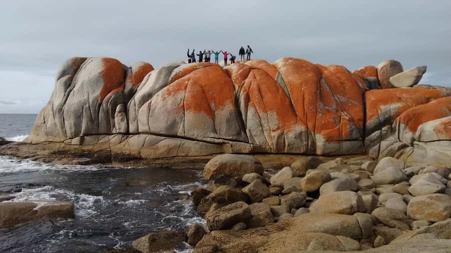 Tasmania: 7-Day West to East Tour - Day 2: The West Coast’s Rainforest Walks, Henty Sand Dunes, and Ocean Beach